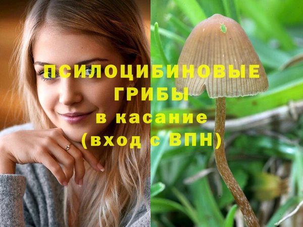 кокс Бородино