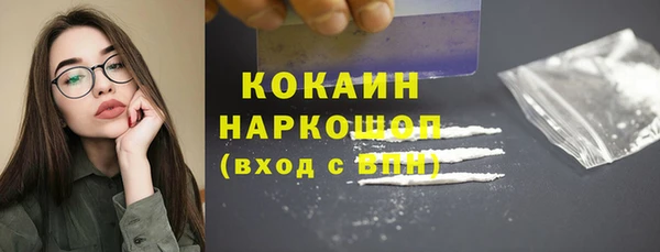 кокс Бородино