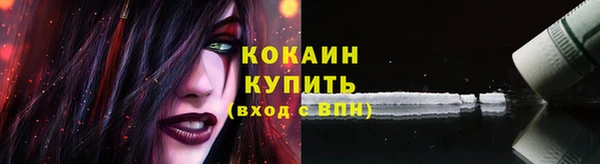 кокс Бородино