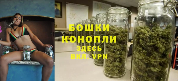 гидропоника Бугульма