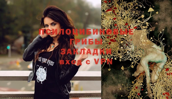 гидропоника Бугульма