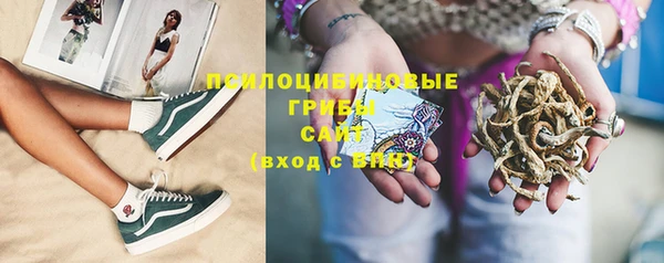 гидропоника Бугульма