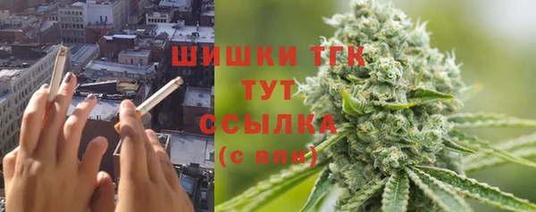 гидра Бронницы