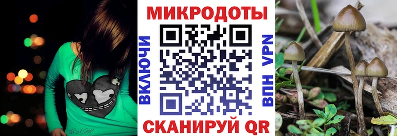 что такое наркотик  Кинешма  kraken как войти  Галлюциногенные грибы Cubensis 